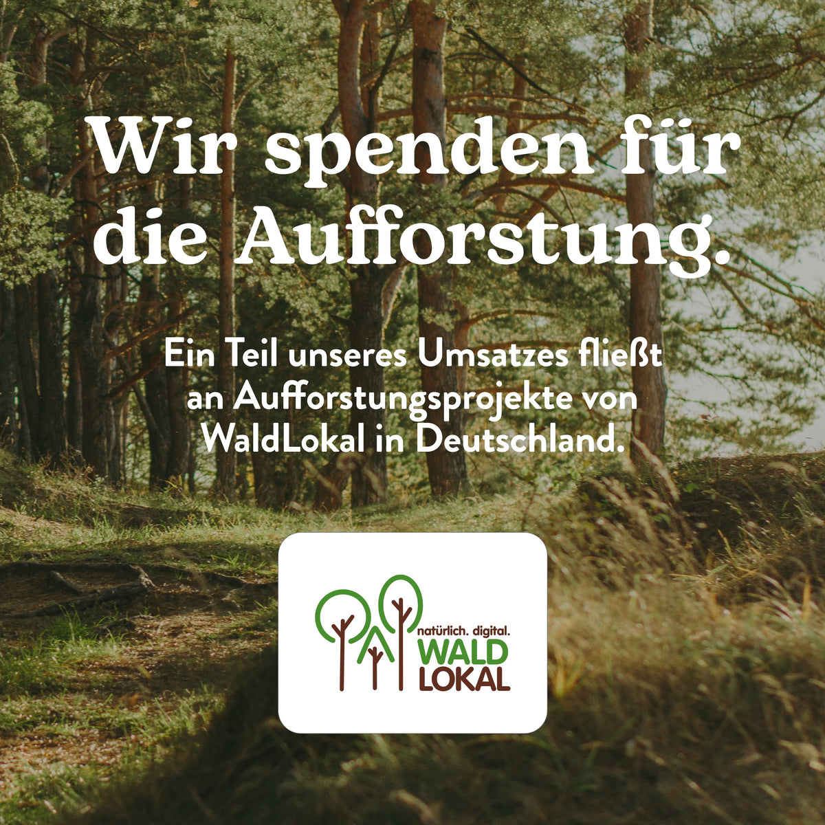 Taschentücher in der Design-Box