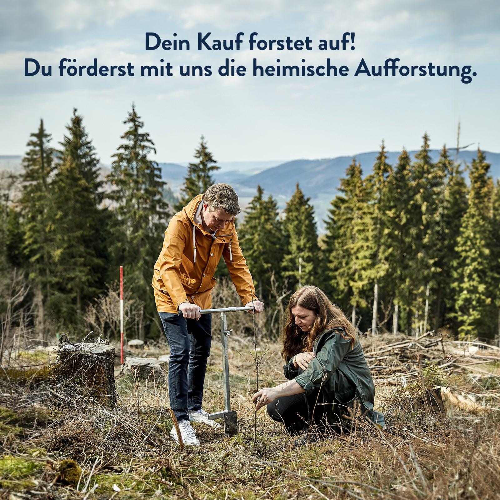 Jeder Kauf fördert Aufforstungsprojekte