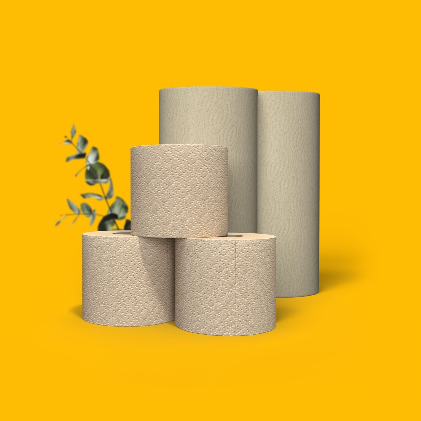 Spar-Set Home - PURE Toilettenpapier + Küchenrollen